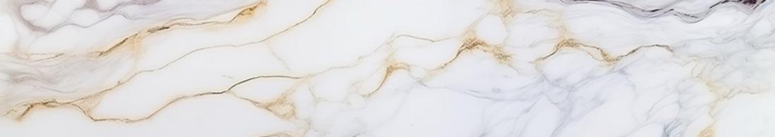 Bathroom/Shower Rentals in Clearwater FL