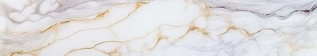 Sarasota Shower Rentals