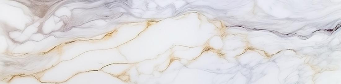 #1 Bathroom Trailer Rental Company in Coral Gables FL